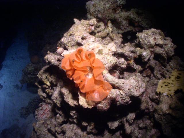 aegypten2008-0142.jpg