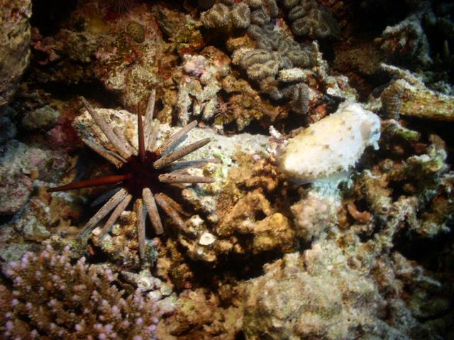 aegypten2008-0145.jpg