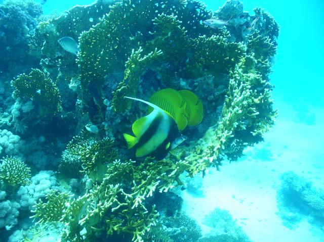 aegypten2008-0151.jpg