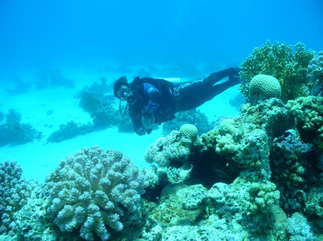 aegypten2008-0154.jpg