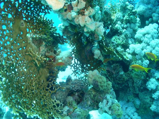 aegypten2008-0156.jpg