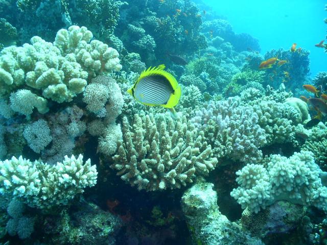 aegypten2008-0185.jpg