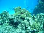 aegypten2008-0186.jpg