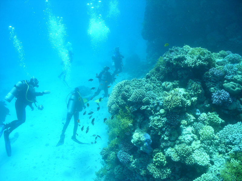 aegypten2008-0187.jpg