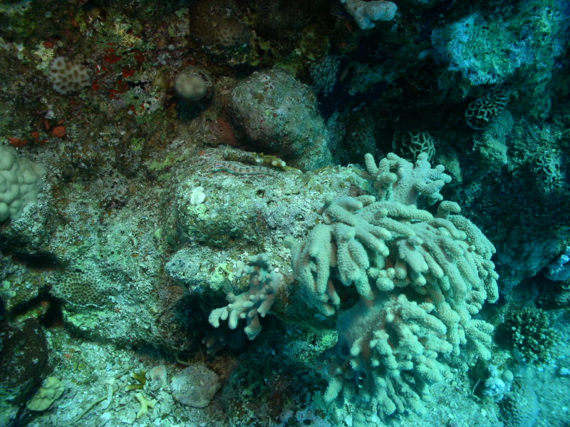 aegypten2008-0189.jpg