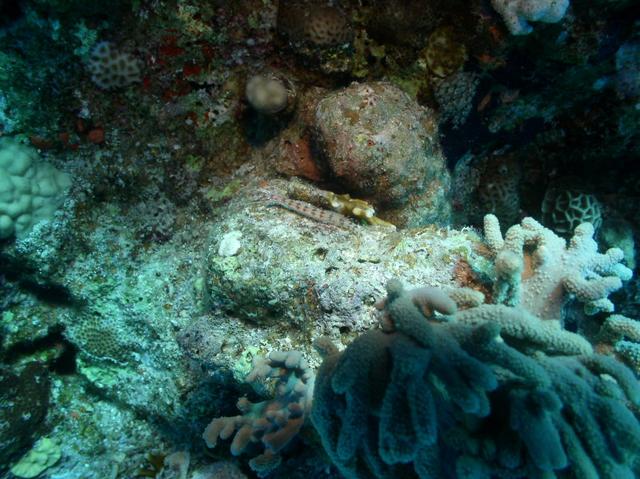 aegypten2008-0190.jpg