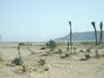 aegypten2008-0333.jpg