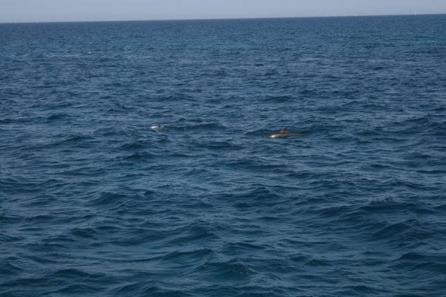 aegypten2008-0363.jpg