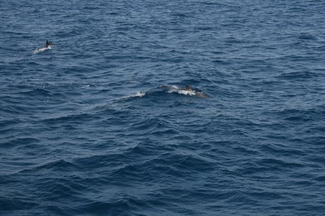 aegypten2008-0379.jpg