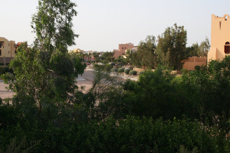 aegypten2008-0388.jpg