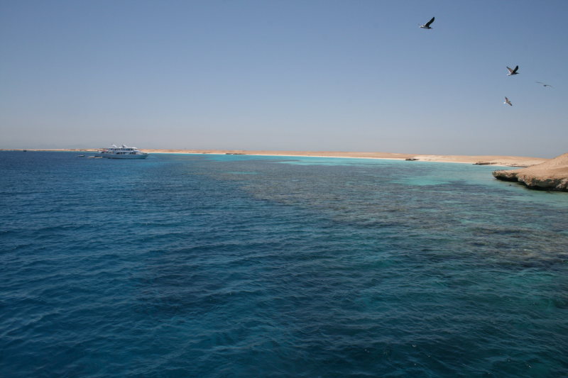 aegypten2008-0402.jpg