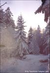 Bild0018.jpg