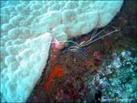 Thorsten_Bild0064.jpg