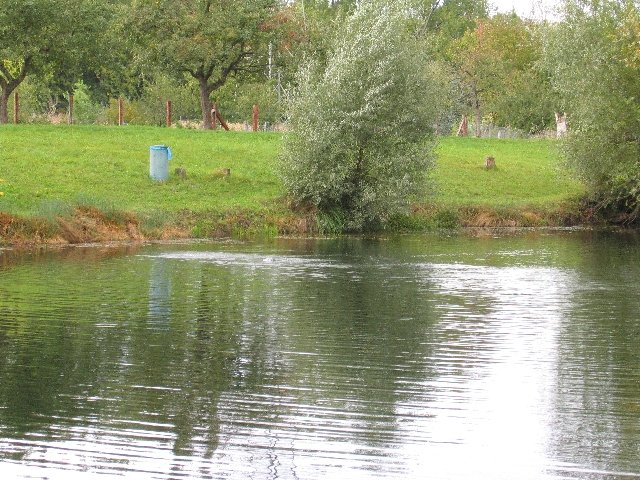 Bild0011.jpg
