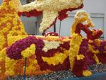 Chrysanthema15.JPG