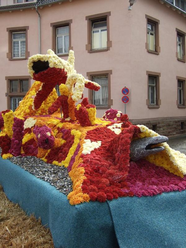 Chrysanthema16.JPG