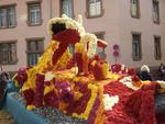 Chrysanthema17.JPG