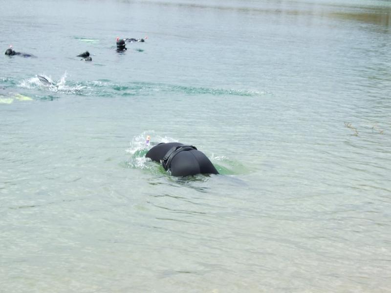 Ostern 2010 007.jpg