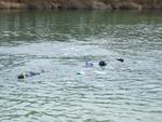 Ostern 2010 028.jpg