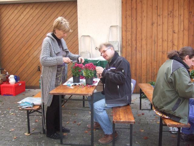 Chrysanthema 2010 037.jpg